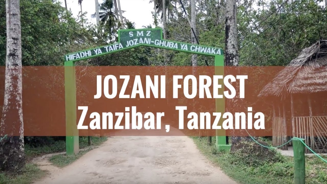 Highlight Of Kenya & Tanzania With Zanzibar